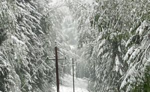 Foto: Facebook / Snijeg u Austriji