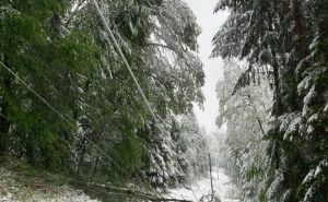 Foto: Facebook / Snijeg u Austriji