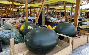 Foto: E. L. / Radiosarajevo.ba / Stigle lubenice na pijacu Markale