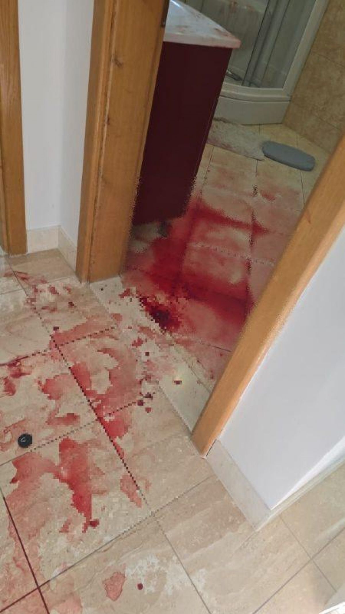 Krv u apartmanu