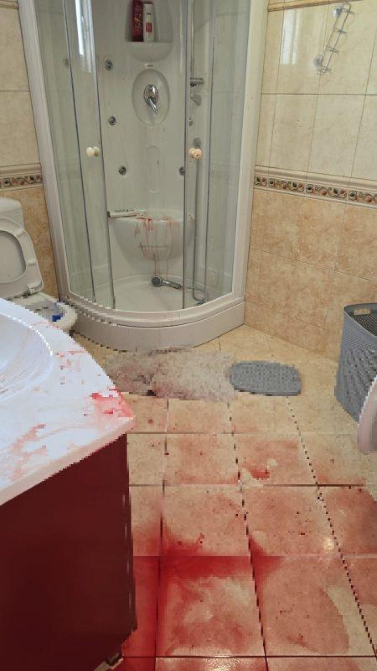 Krv u apartmanu