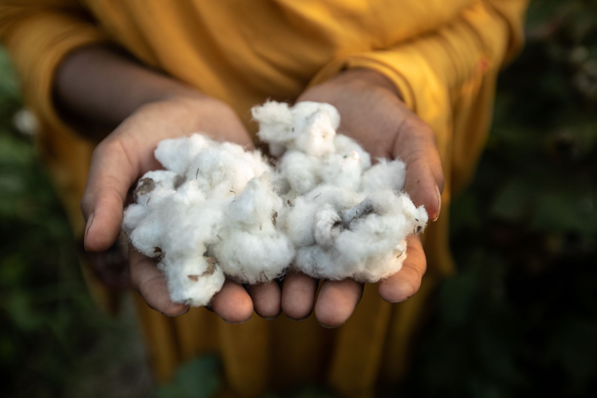 Pepco – ponosni član inicijative “Better Cotton”