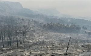 Foto: Screenshot/Instagram / Biokovo nakon požara