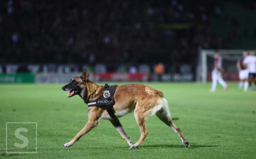 Policijski pas na Koševu