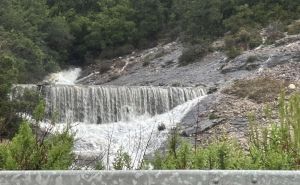 Foto: Facebook / Pojavile se brojne vrulje u NP Mljet