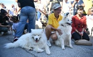 Foto: Admir Kuburović / Radiosarajevo.ba / Protesti za izmjene krivičnog zakona