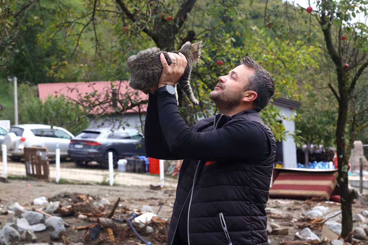 Član Pomozi.ba i maca