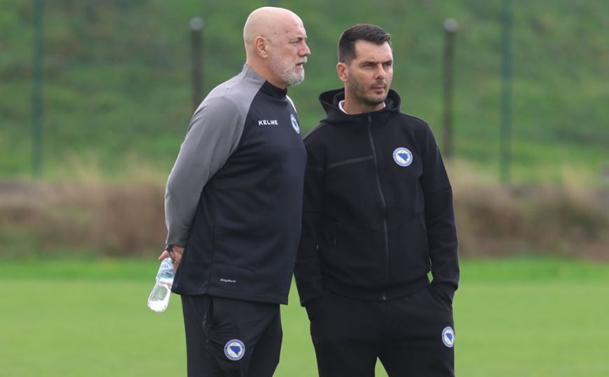 Sergej Barbarez i Emir Spahić