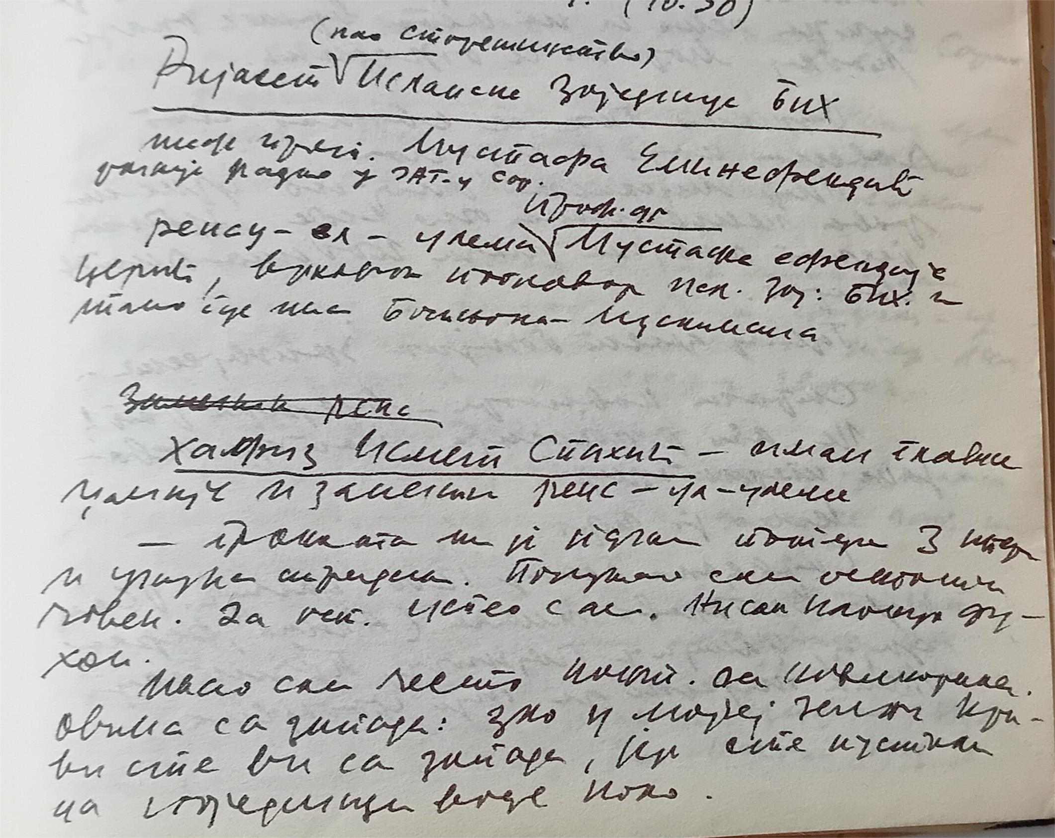 Moji susreti sa hafizom Ismetom Spahićem