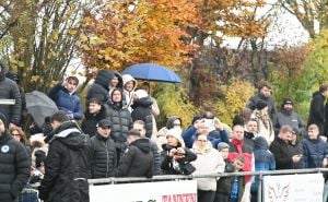 Foto: N/FSBiH / Zmajevi se družili s navijačima u Karlsruheru