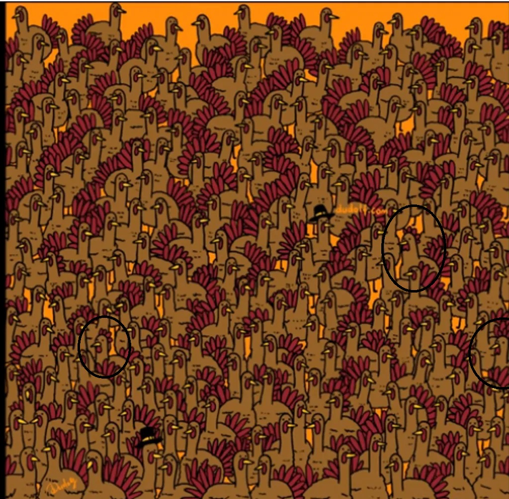 Pijetlovi među puranima su tu!