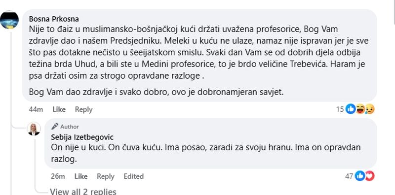 Sebija Izetbegović, status