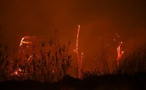 Foto: AA / Požari u Los Angelesu