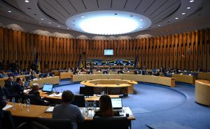 Foto: N. G. / Radiosarajevo.ba / Sjednica Doma naroda PSBiH