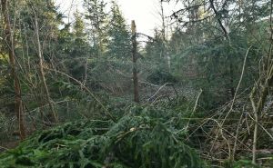 Foto: A. K. / Radiosarajevo.ba / Klizište iznad Širokače