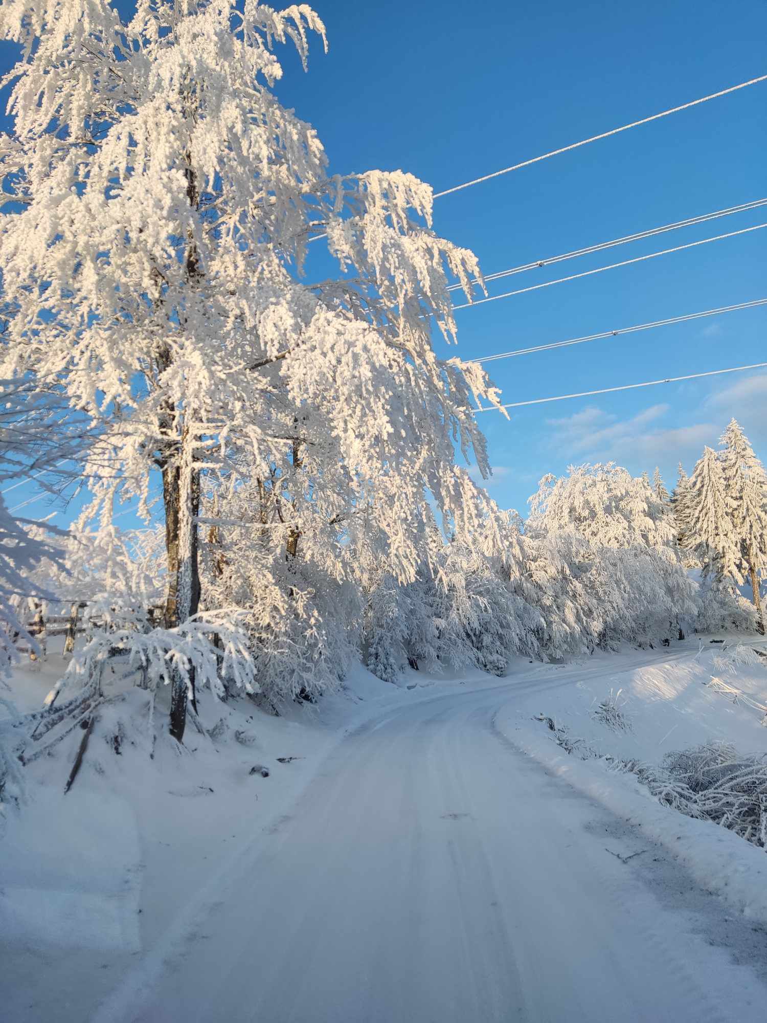 Snijeg u Bosni i Hercegovini