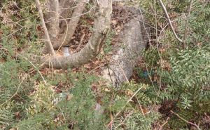 Foto: Facebook / Neevidentirana nekropola sa 102 stećka u Podgoranima