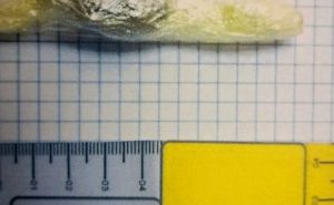 Foto: FUP / Pronađena opojna droga