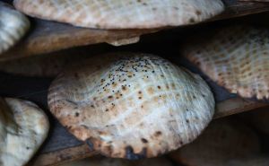 Foto: Dž. K. / Radiosarajevo.ba / Somuni