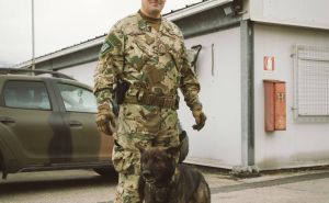Foto: EUFOR / Psi u EUFOR bazi u Butmiru
