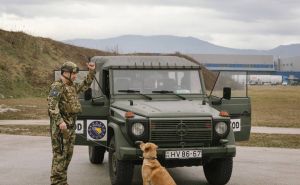 EUFOR BiH / Psi u EUFOR bazi u Butmiru