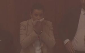 Radiosarajevo.ba / Ana Brnabić, Skupština Srbije