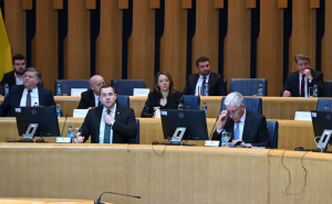 Foto: N. G. / Radiosarajevo.ba / Sjednica Doma naroda