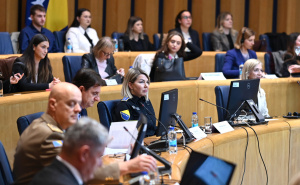 Foto: N.G./Radiosarajevo.ba / Konferencija povodom 8. marta