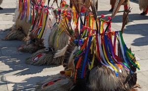 Foto: Facebook / Kurenti u Sarajevu