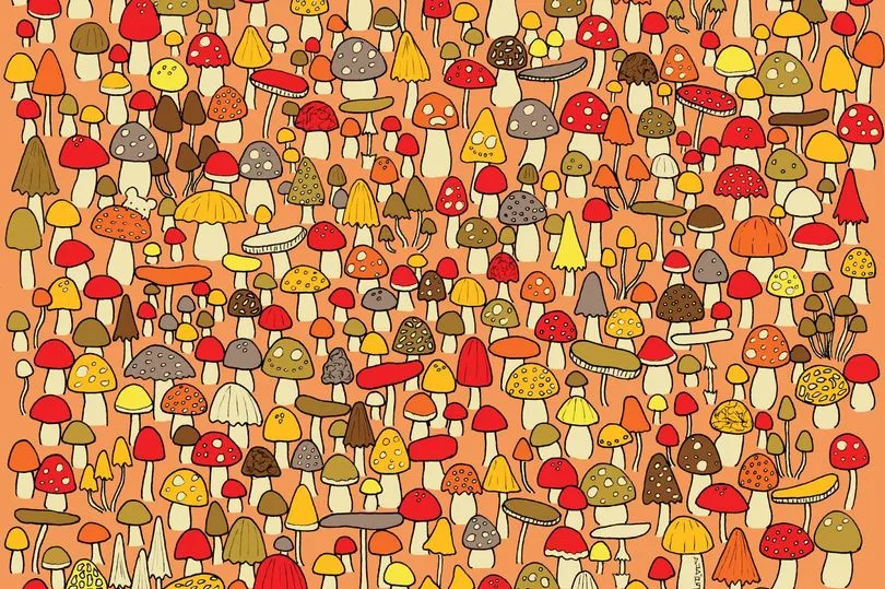 Gdje je gospodin Miš?