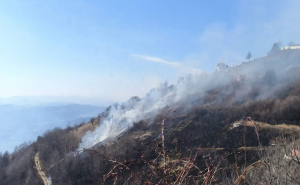 Foto: N. G. / Radiosarajevo.ba / Požar na Nahorevu