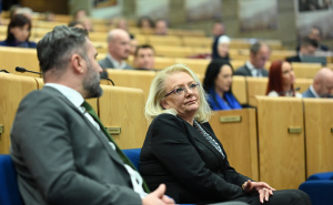 Foto: N. G. / Radiosarajevo.ba / Sjednica Doma naroda PFBiH