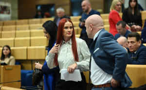 Foto: N. G. / Radiosarajevo.ba / Sjednica Doma naroda PFBiH