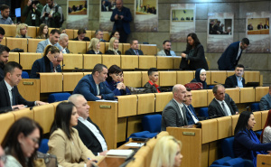 Foto: N. G. / Radiosarajevo.ba / Sjednica Doma naroda PFBiH