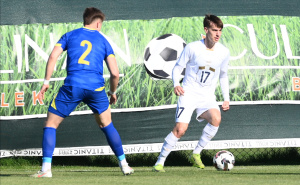 Foto: Fudbalski savez Srbije / Srbija - BiH