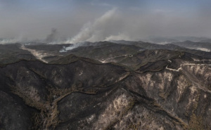 Foto: EPA - EFE / Požari zahvatili Južnu Koreju