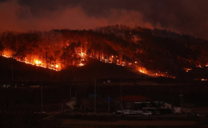 Foto: EPA - EFE / Požari zahvatili Južnu Koreju