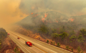 Foto: EPA - EFE / Požari zahvatili Južnu Koreju