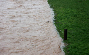 Foto: Dž. K. / Radiosarajevo.ba / Nabujala rijeka Željeznica na Ilidži