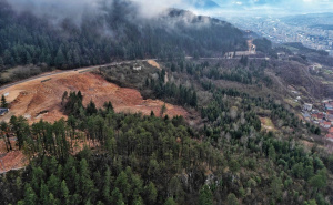 Foto: A. K. / Radiosarajevo.ba / Curine njive
