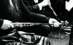 Foto: Raisa Šehu / Koncert Sarajevske filharmonije