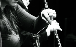 Foto: Raisa Šehu / Koncert Sarajevske filharmonije