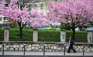 Foto: A.K./Radiosarajevo.ba / Šetnja Sarajevom