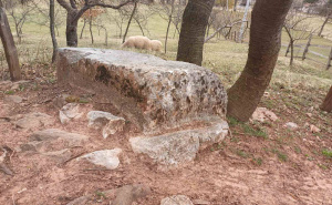 Foto: Bassania / Nekropola stećaka Sokolina