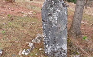 Foto: Bassania / Nekropola stećaka Sokolina