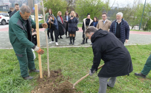 Foto: Općina  Centar / Sadnja stabala u spomen na poginule i preminule umjetnike Sarajeva