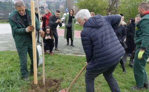 Foto: Općina  Centar / Sadnja stabala u spomen na poginule i preminule umjetnike Sarajeva