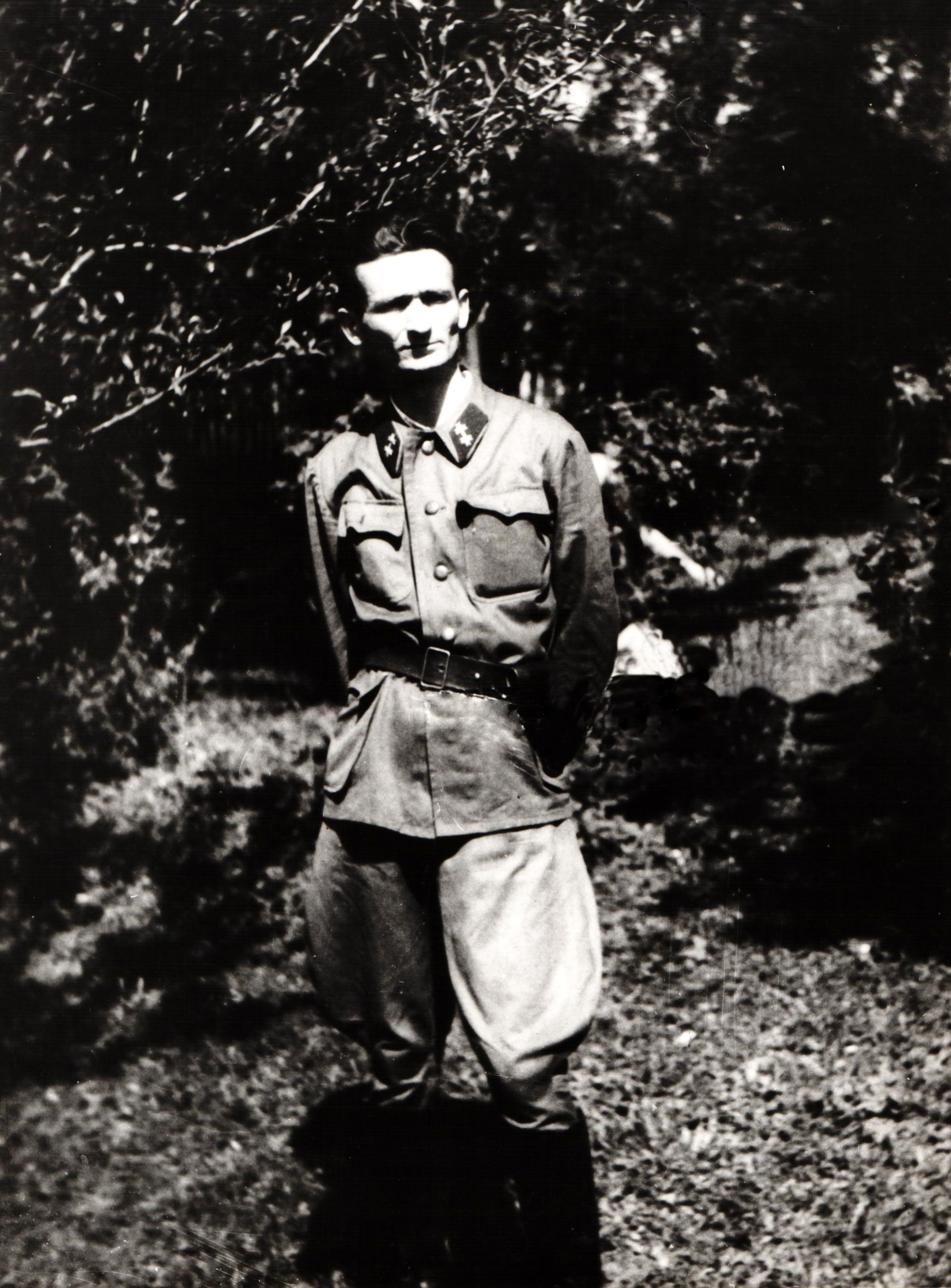 Vladimir Perić Valter