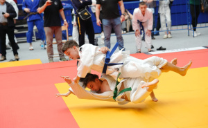 Foto: Press / Međunarodno judo takmičenje 'Vinko Šamarlić'
