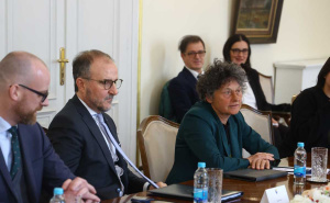 Foto: Dž. K. / Radiosarajevo.ba / Bećirović s članovima Komiteta za vanjske poslove Europskog parlamenta